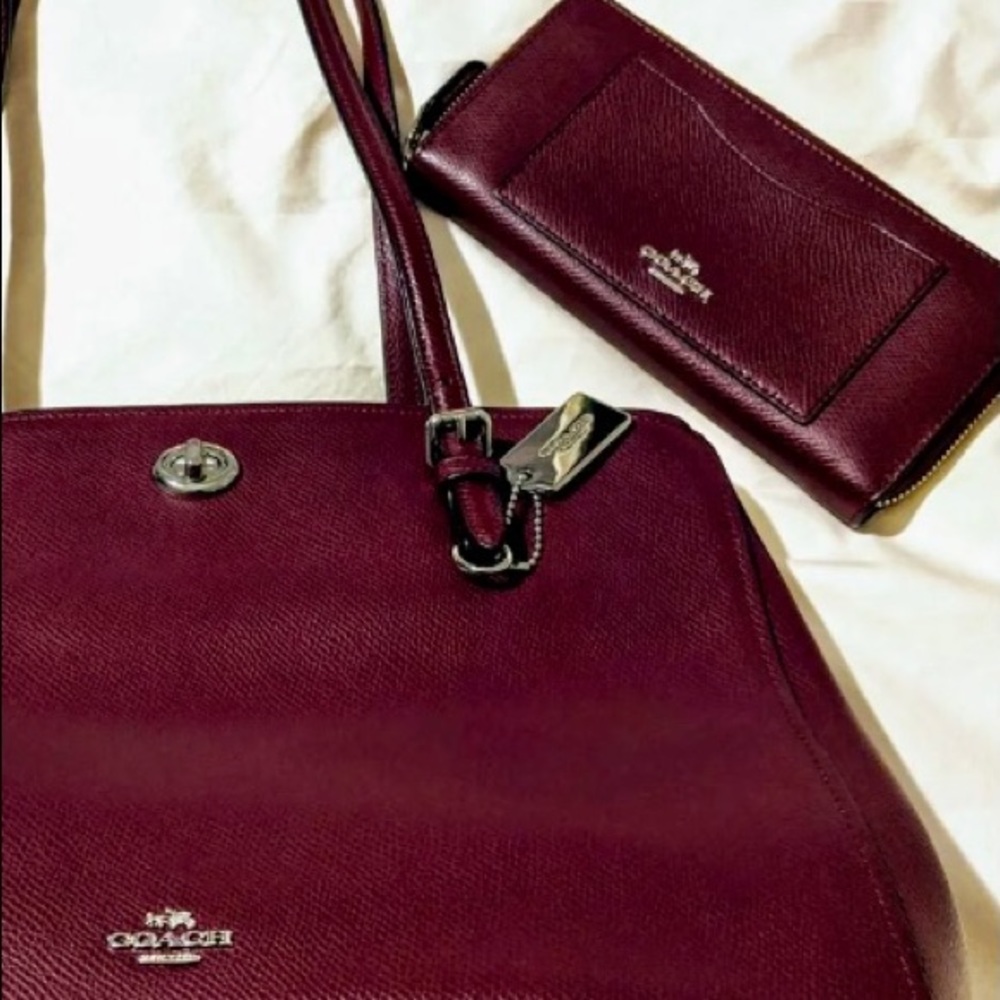 Coach Christie Carryall with matching Wallet